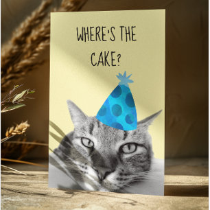 猫おもしろい誕生日カードどこでケーキ