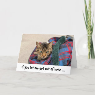 猫おもしろい誕生日カード カード