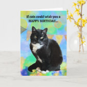 猫おもしろい誕生日カード カード (黄色い花)