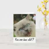 猫おもしろい誕生日カード カード (黄色い花)