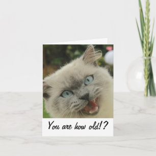 猫おもしろい誕生日カード カード