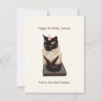 猫おもしろい誕生日カード シーズンカード
