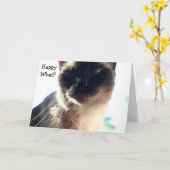 猫おもしろい誕生日カード:ハッピー何? カード (黄色い花)