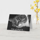 猫おもしろい誕生日カード:目覚める?なぜだ? カード (黄色い花)
