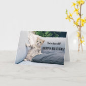 猫おもしろい誕生日グリーティングカード カード (黄色い花)