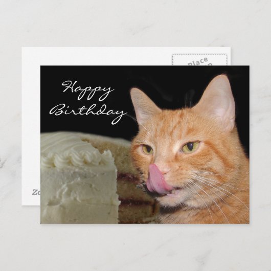 猫おもしろい誕生日 ポストカード (正面/裏面)