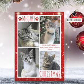 猫おもしろい4フォトコラージュMEOWYクリスマスレッド シーズンカード