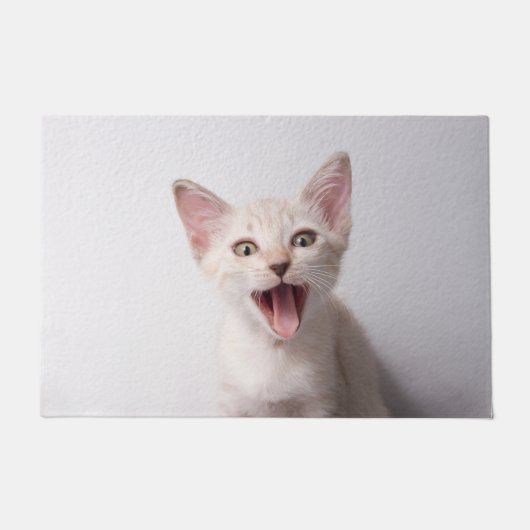 猫おもしろい ドアマット (正面)