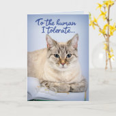 猫おもしろい – 人間に対して彼らは耐える誕生日 カード (黄色い花)
