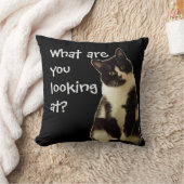 猫おもしろい「何を見てるんだ!」 クッション (ブランケット)