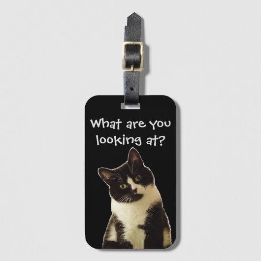 猫おもしろい「何を見てるんだ！」 スローガン ラゲッジタグ (正面縦)