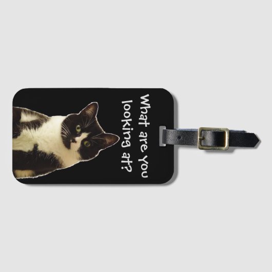 猫おもしろい「何を見てるんだ！」 スローガン ラゲッジタグ (正面横)