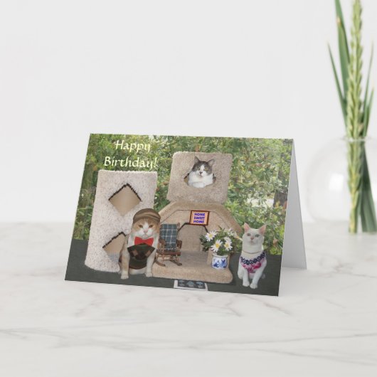 猫おもしろい/猫ちゃんハッピーバースデーが家から カード (正面)