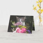 猫おもしろい/猫ちゃんハッピーバースデー離婚夫婦 カード (黄色い花)