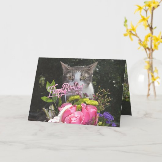 猫おもしろい/猫ちゃんハッピーバースデー離婚夫婦 カード (黄色い花)
