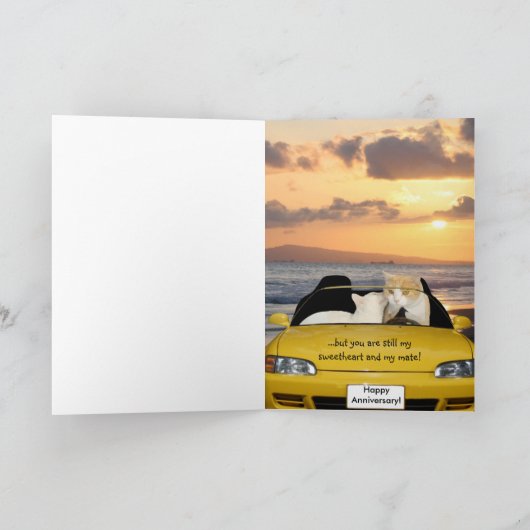 猫おもしろい・猫ちゃん記念 カード (内部)