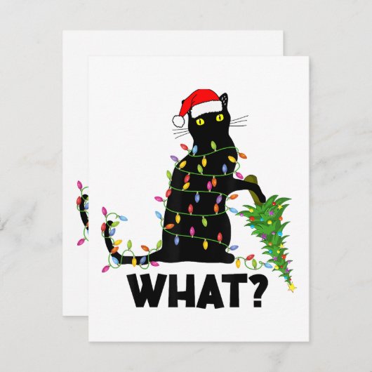 猫おもしろいChにクリスマスツリーを押し付ける黒猫 エンクロージャーカード (正面/裏面)