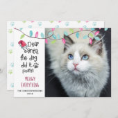 猫おもしろいSANTA親愛 Lights写真 シーズンカード (正面/裏面)