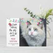 猫おもしろいSANTA親愛 Lights写真 シーズンカード (スタンド正面)