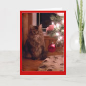 猫およびクリスマスツリーのオーナメントの挨拶状 シーズンカード (正面)
