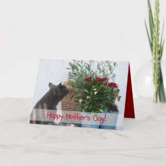 猫およびバラの幸せな母の日! カード