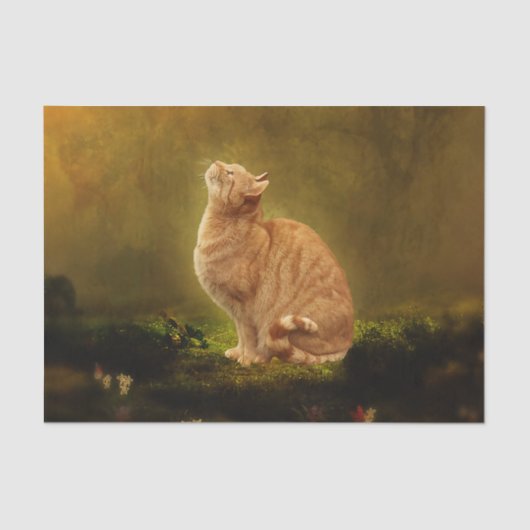 猫および妖精 薄葉紙 (正面)