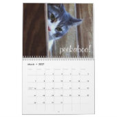 猫および子ネコのカレンダー2015年 カレンダー (3月 2027)