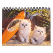 猫および子ネコのカレンダー2019年 カレンダー (カバー)