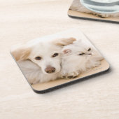 猫および犬の撃たれるスタジオ コースター (左側)