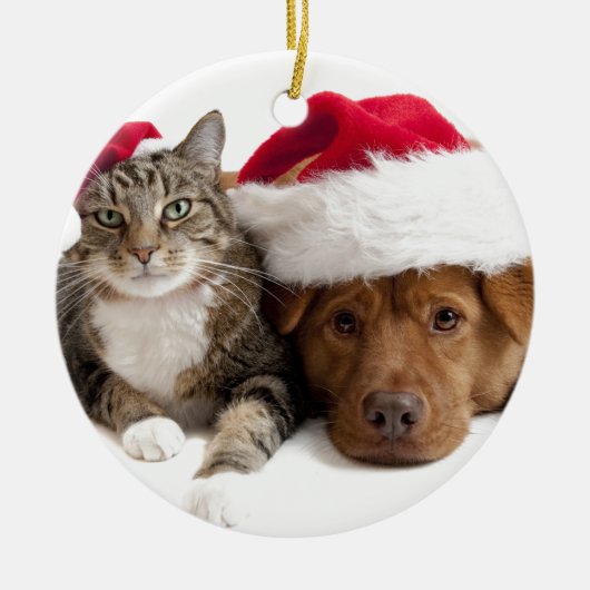 猫および犬はメリークリスマスを望みます セラミックオーナメント (正面)