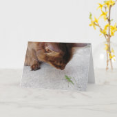 猫およびKatydidの友情カード カード (黄色い花)