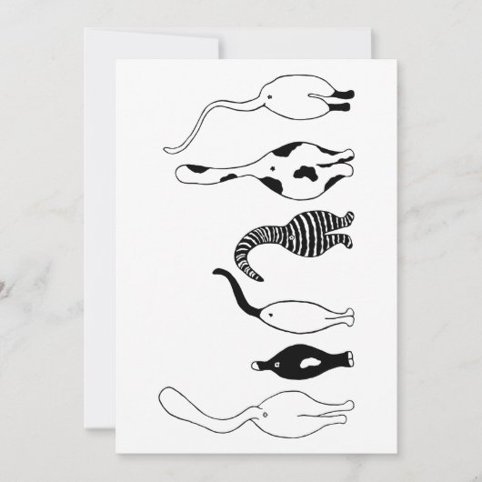 猫お尻 シーズンカード (正面)