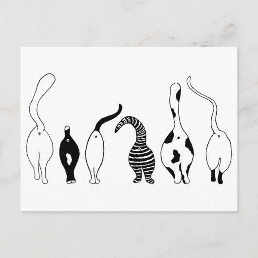 猫お尻 ポストカード (正面)