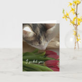 猫からのラブカード「愛してる」面白グッズ カード (黄色い花)