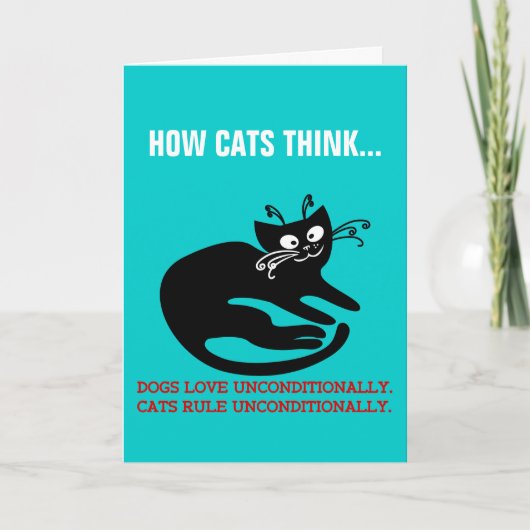 猫からのラブレター:服従訓練 シーズンカード (正面)