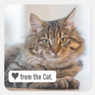 猫からの愛とハートスクエアエンベロープステッカー スクエアシール