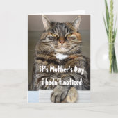 猫からの母の日 かわいいユーモア カード (正面)