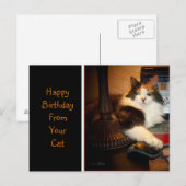 猫からの誕生日おめでとうカード ポストカード (正面/裏面)
