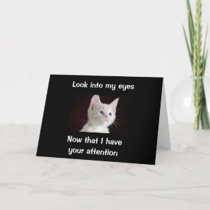 「猫からの誕生日の願いを見る」 カード
