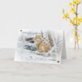 猫からカードへのご挨拶 カード (黄色い花)