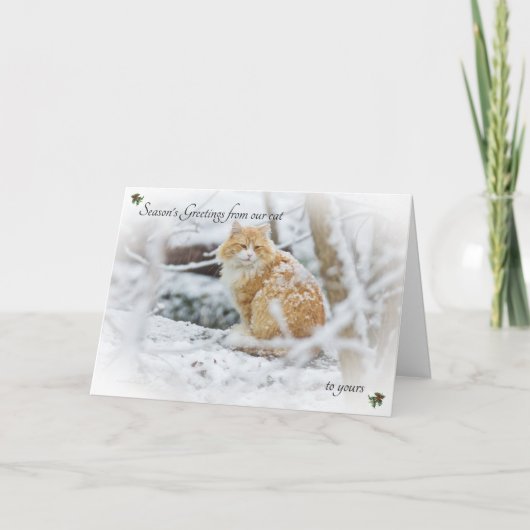 猫からカードへのご挨拶 カード (正面)