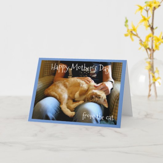 猫から生まれた母の幸せな日 カード (黄色い花)