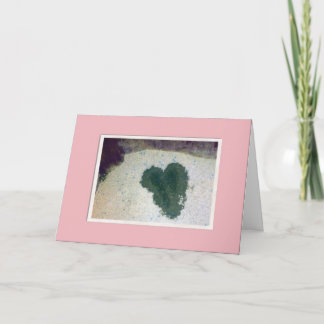 猫から シーズンカード