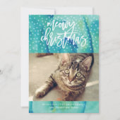 猫から「ミオウィクリスマス」ホリデー写真 シーズンカード (正面)