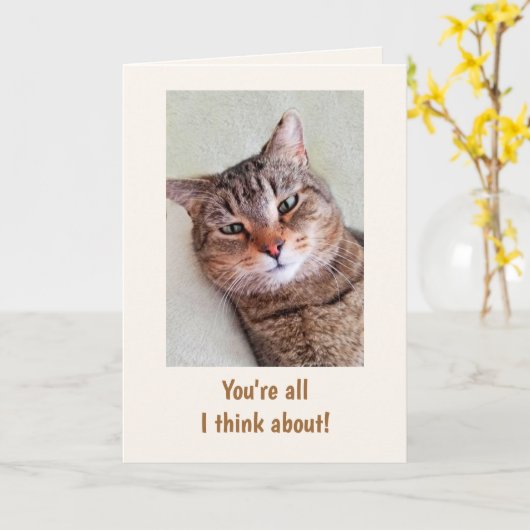 「猫から」誕生日 カード (黄色い花)