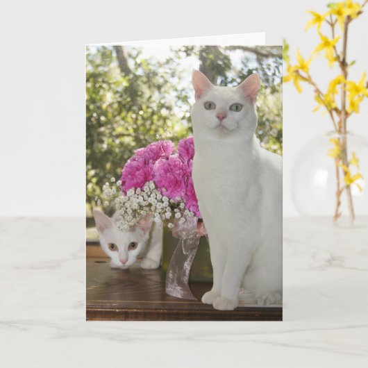 猫かわいらしと子ネコの母の日 カード (黄色い花)