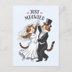 猫がいる幸せな結婚生活 ふざけたネコのウェディング ポストカード