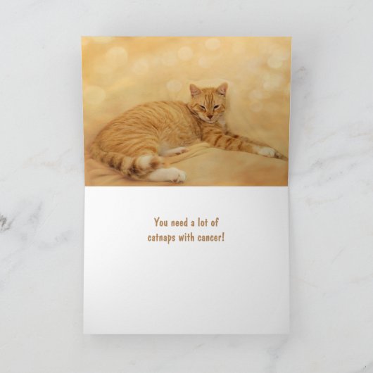猫がおもしろいがんを損なう カード (内部)