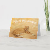 猫がおもしろいがんを損なう カード (正面)