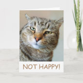 猫がおもしろいんのサポート カード (正面)